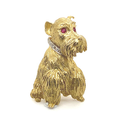 Goldbrosche Schnauzer